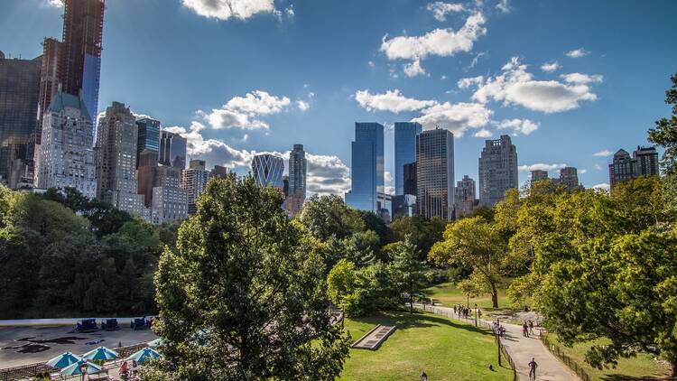 Sunny Central Park in New York, NY