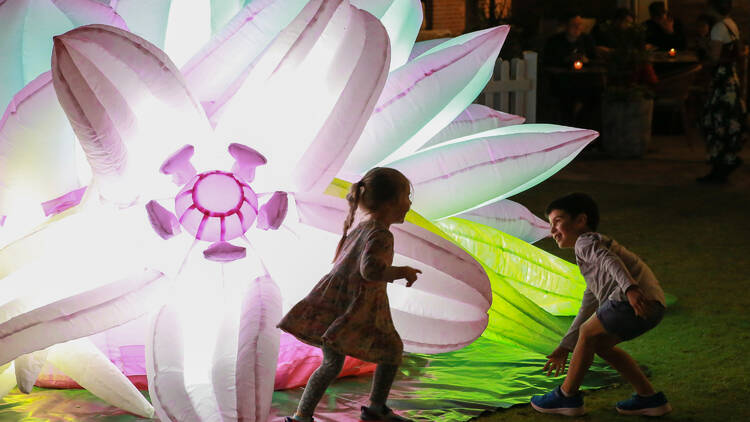 Winter Arts Festival