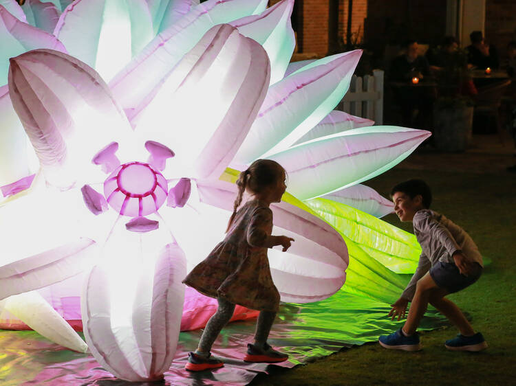 Winter Arts Festival