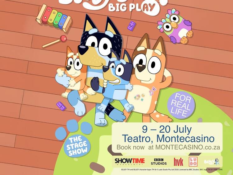 Bluey's Big Play