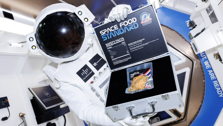 NASA Thai chicken