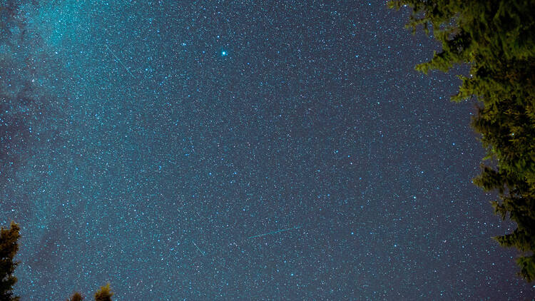 A night sky over Northumberland National Park
