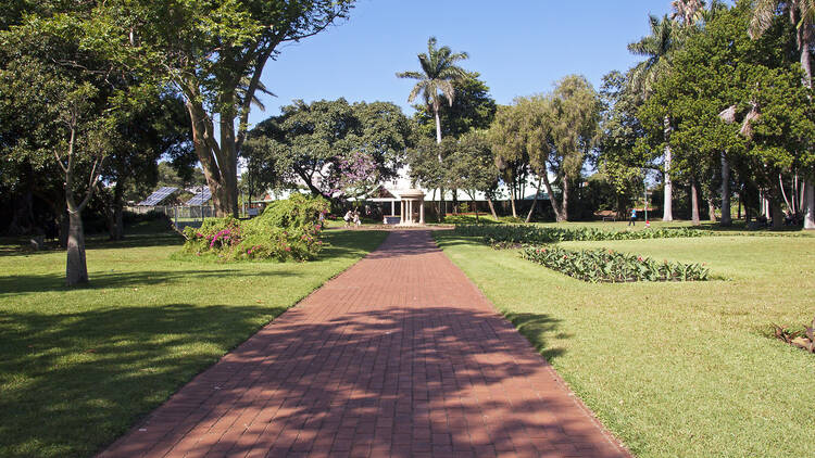 Botanical Gardens in Durban South Africa