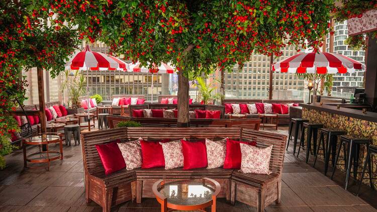 phd rooftop terrace
