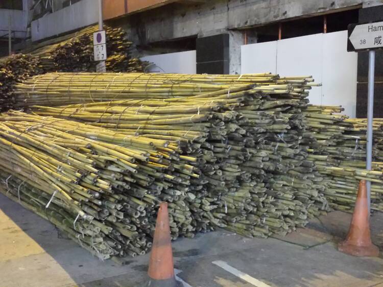 So, why bamboo?