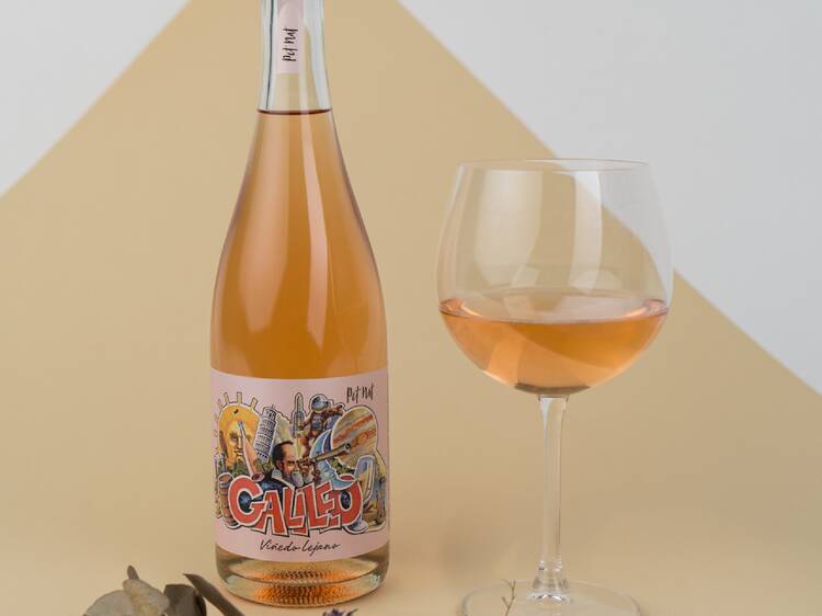 Galileo Viñedo Lejano de Galileo Wines