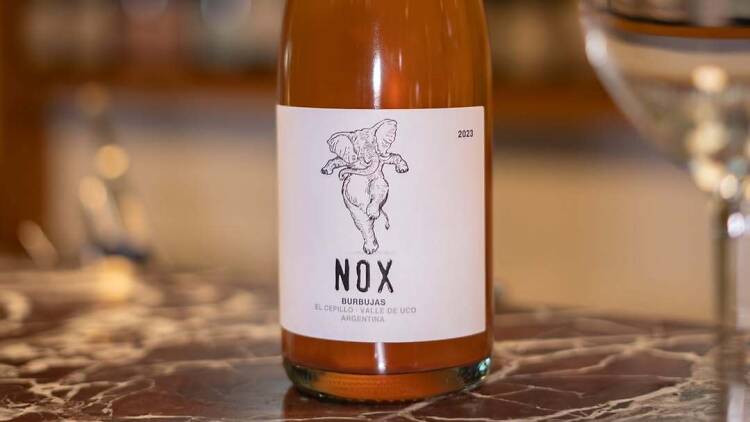 Nox Burbujas de Canopus