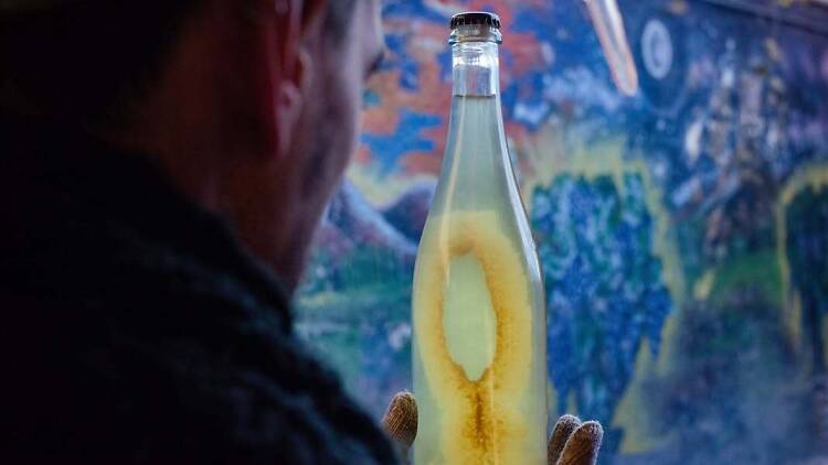 Qué son los vinos Pét-Na y cuáles probar