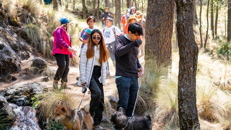 Visitar cascadas cerca de CDMX
