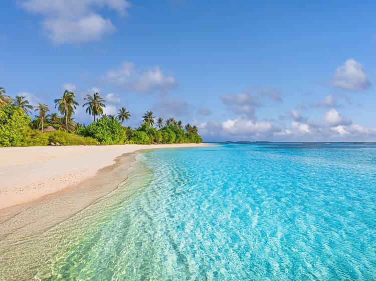This U.S. beach is the top "bacteria hot spot" in the country This U.S. beach is the top "bacteria hot spot" in the country