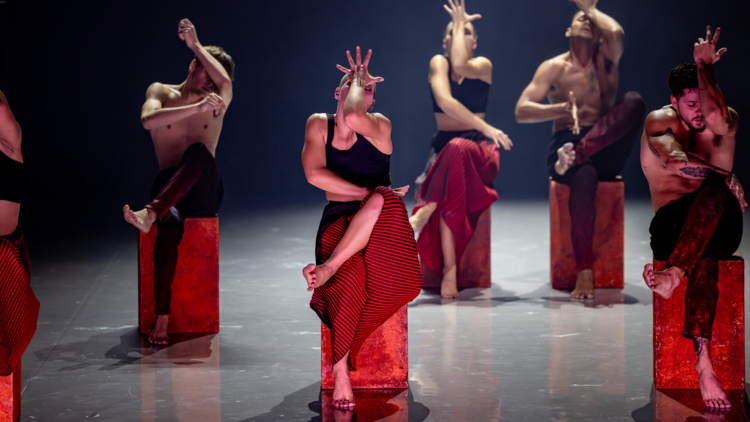 Bangarra's Illume