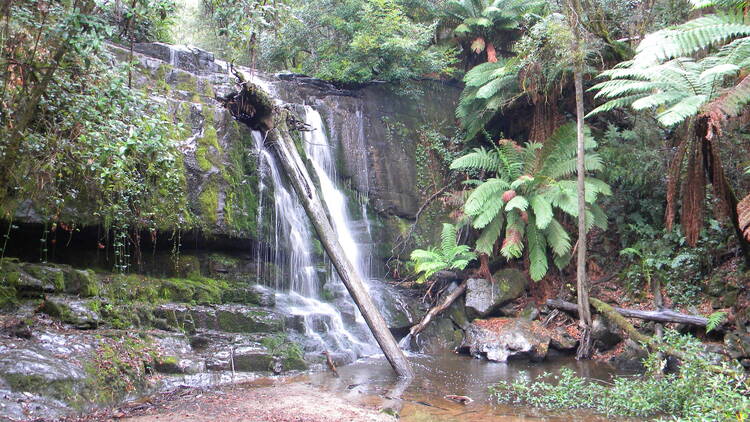 Hike to Lilydale Falls