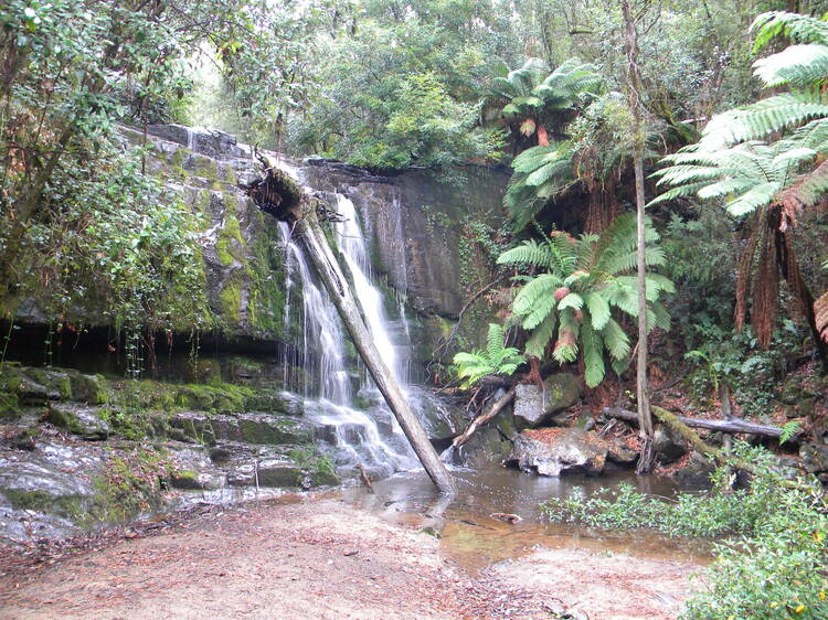 Hike to Lilydale Falls