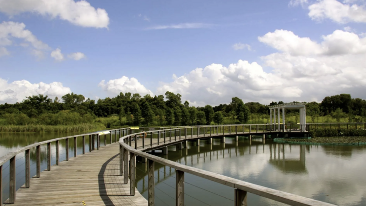 Hong Kong Wetland Park