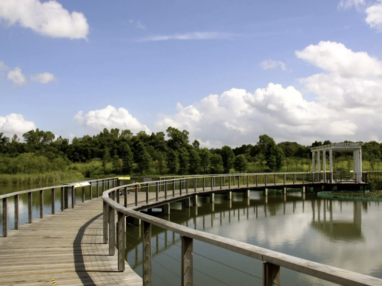 Hong Kong Wetland Park