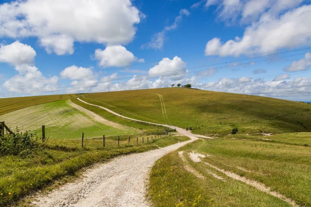The South Downs