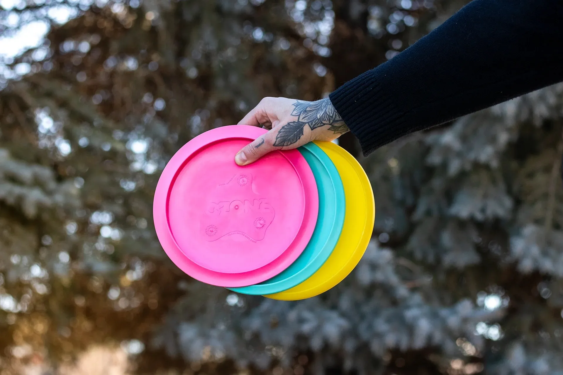 Photograph: Trash Panda Disc Golf