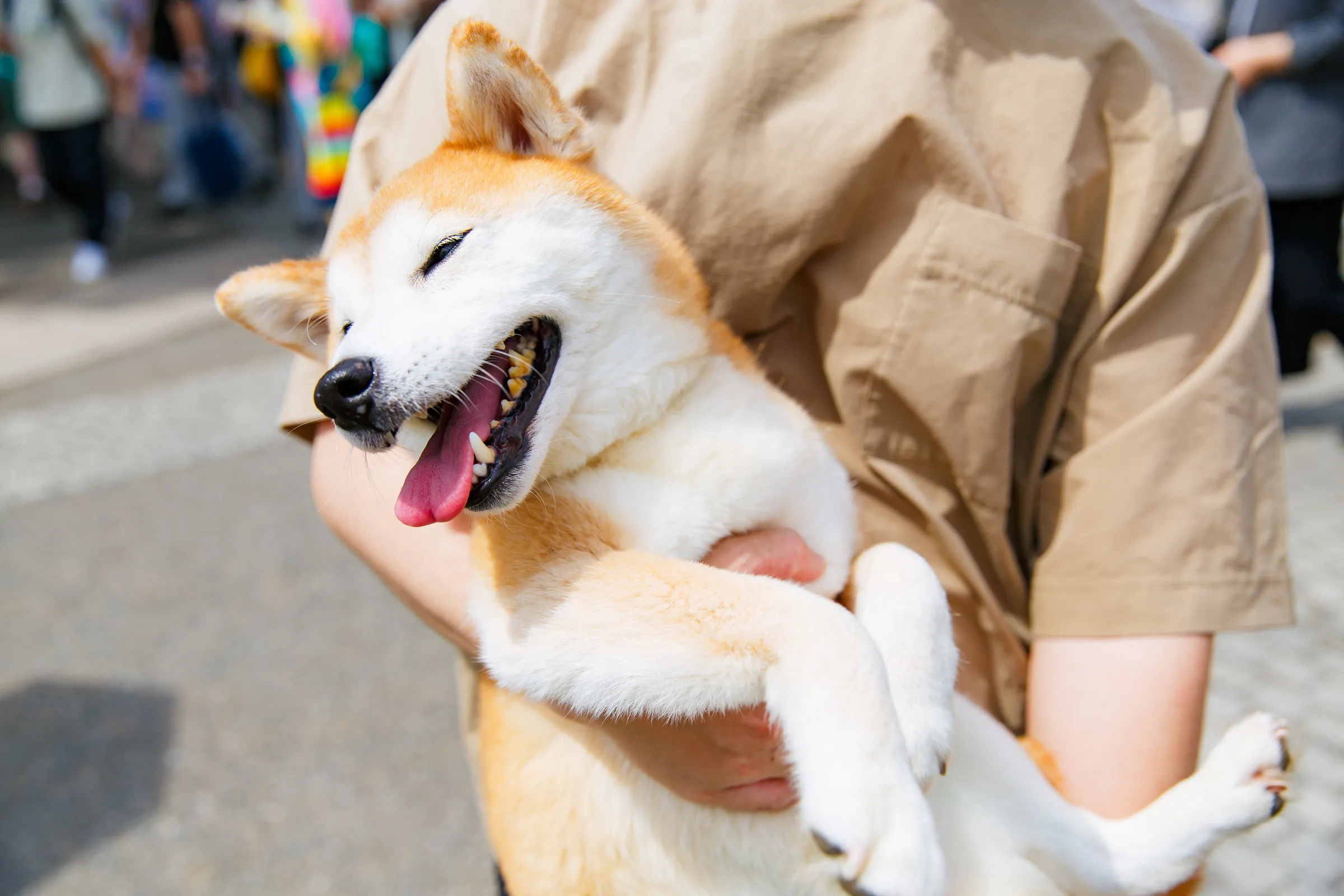 東京プライド