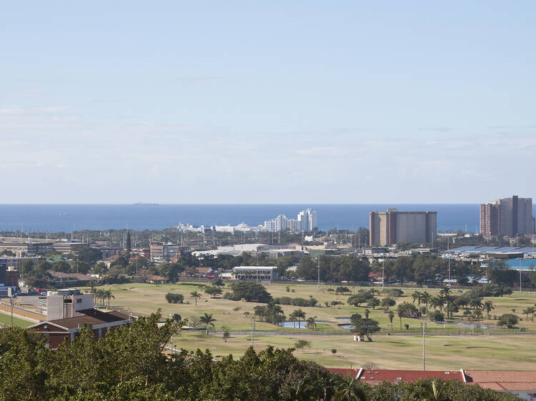 Hollywoodbets Greyville Racecourse
