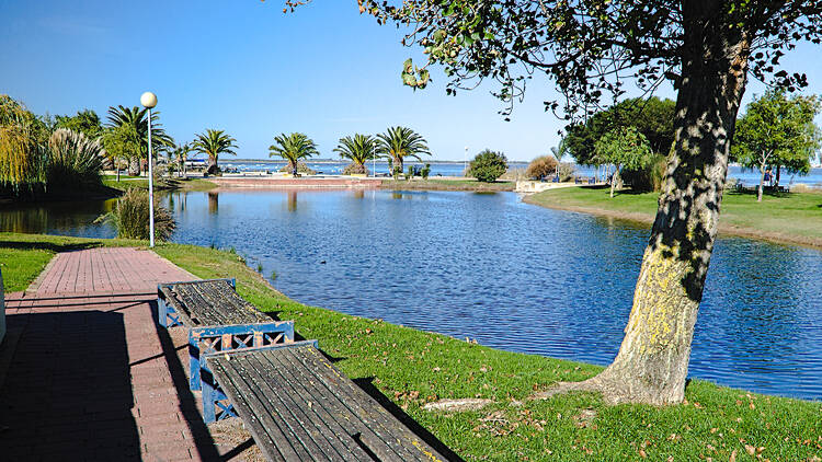 Parque Urbano José Afonso Parque Urbano José Afonso