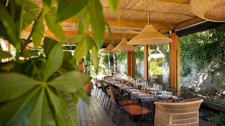 Jangal Gastro Bar