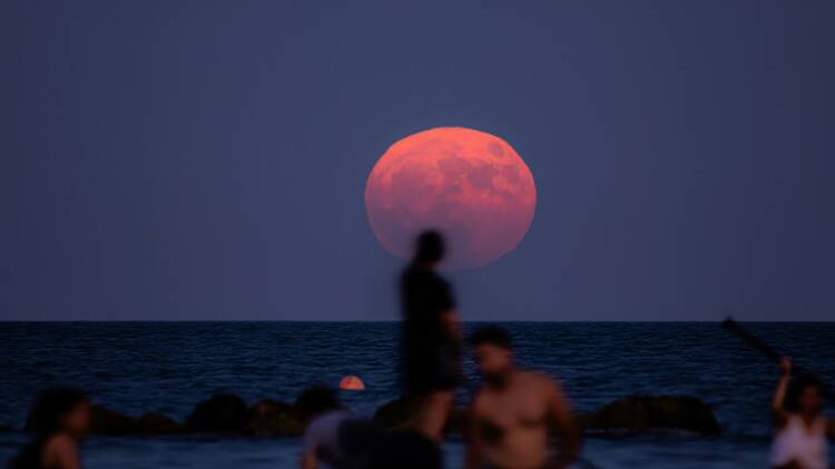 People sitting under a full moon