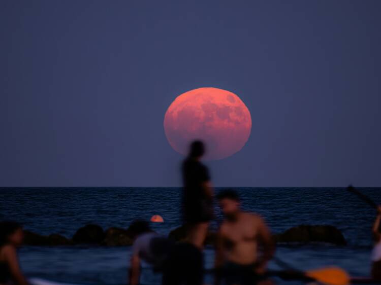 Strawberry Moon: How to watch the highest full moon in Australia in almost 20 years