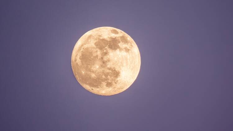 A strawberry moon will be over Hong Kong and at its lowest until 2043