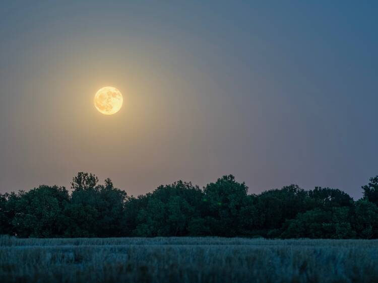 Strawberry Moon 2025: The lowest full moon until 2043 is rising in Asia tonight