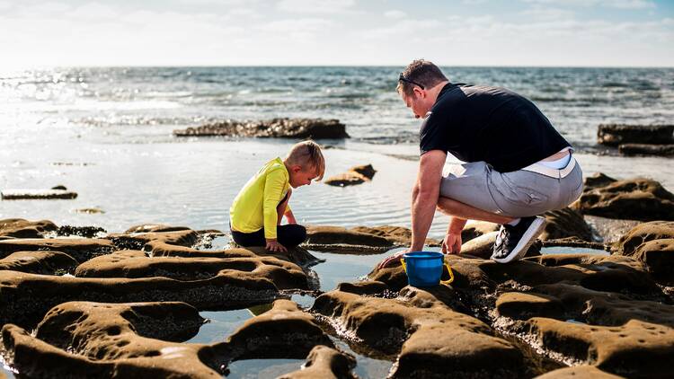 Man and boy playing in rock pools