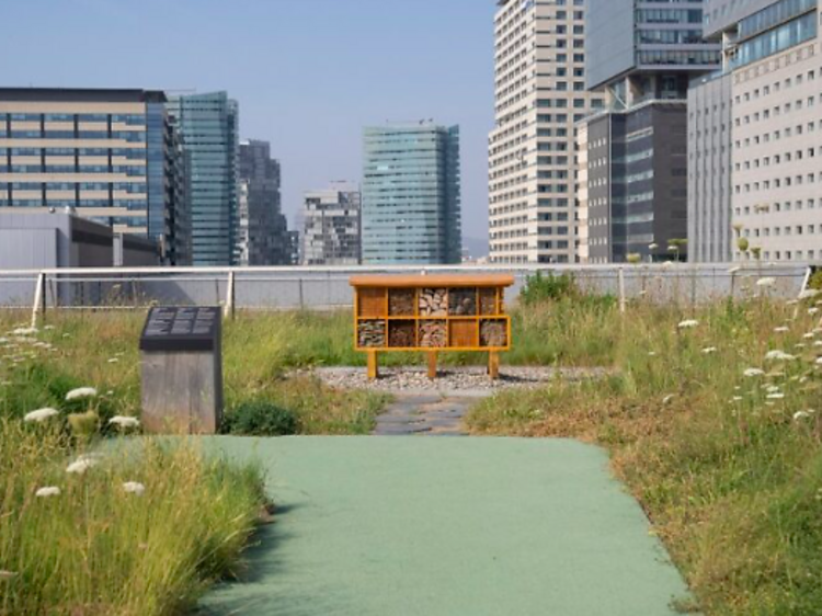 Aquest jardí de 7.100 m² situat en un terrat de Barcelona acaba de reobrir després de dos anys tancat