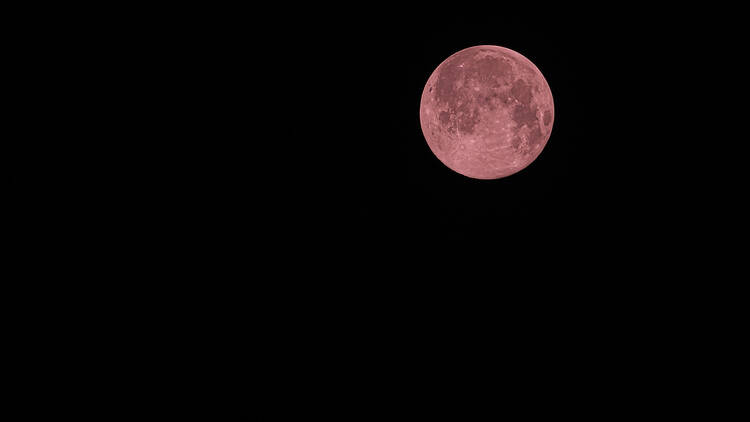 lluna de maduixa, luna de fresa