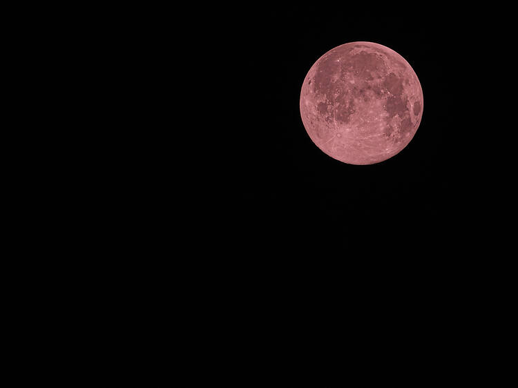 La espectacular 'luna de fresa' se podrá ver esta semana desde Barcelona