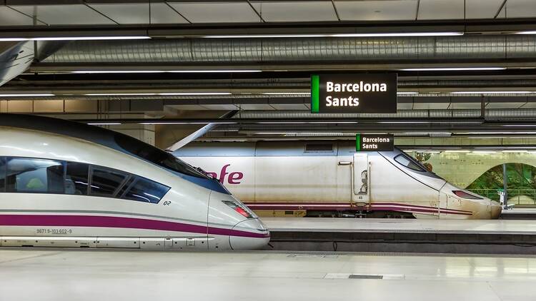 tren, ave, renfe