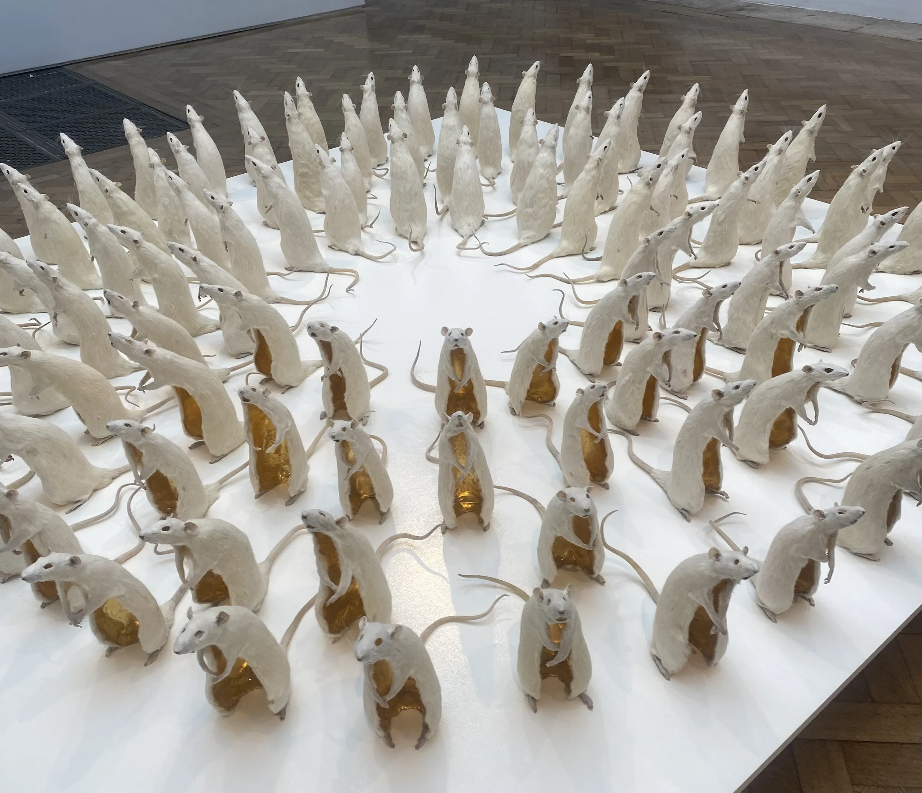 101 white rat pelts, Zatorski + Zatorski, RA Summer Exhibition, 2025