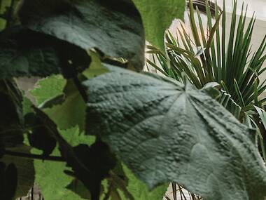 This glamorous dining room is officially the best restaurant in Covent Garden in 2026 This glamorous dining room is officially the best restaurant in Covent Garden in 2026
