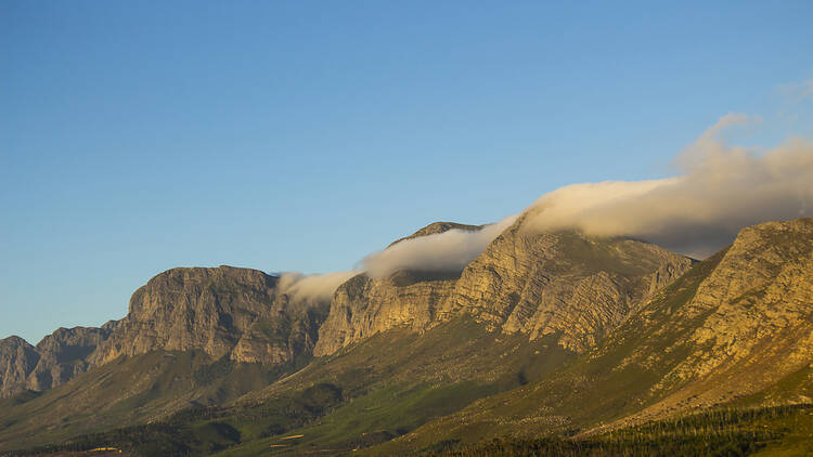 Hottentots Holland Nature Reserve