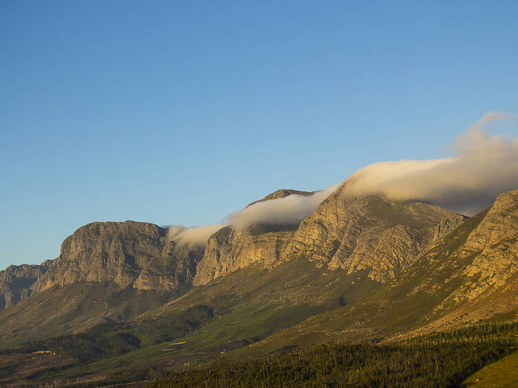 Hottentots Holland Nature Reserve
