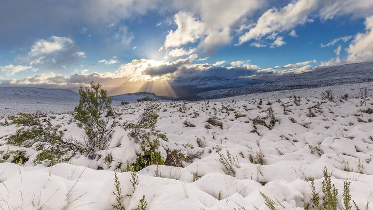 Where to snow hunt this winter