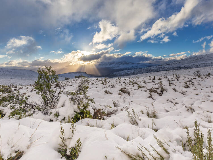 Where to snow hunt this winter
