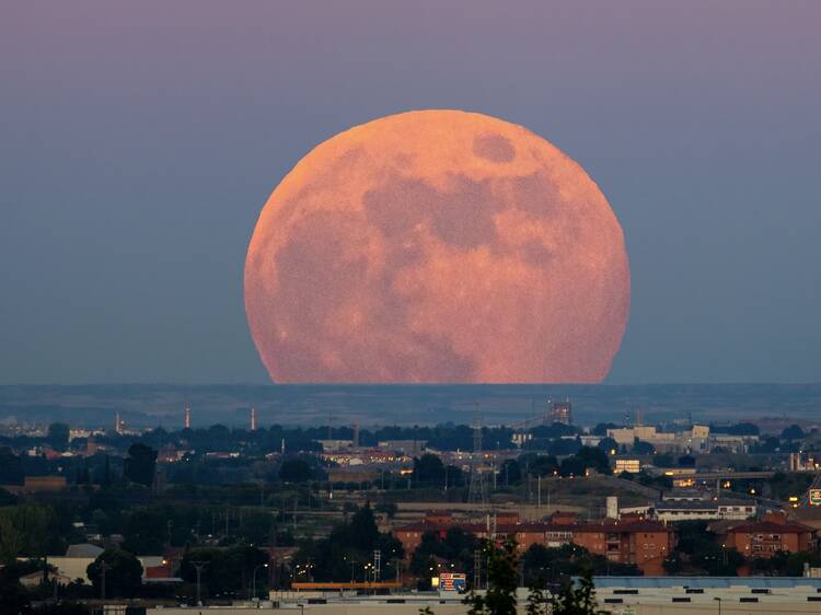 A strawberry moon will light up Canadian skies tonight