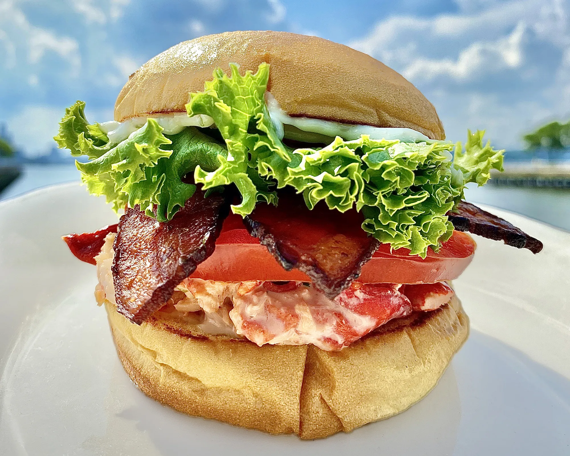 lobster blt