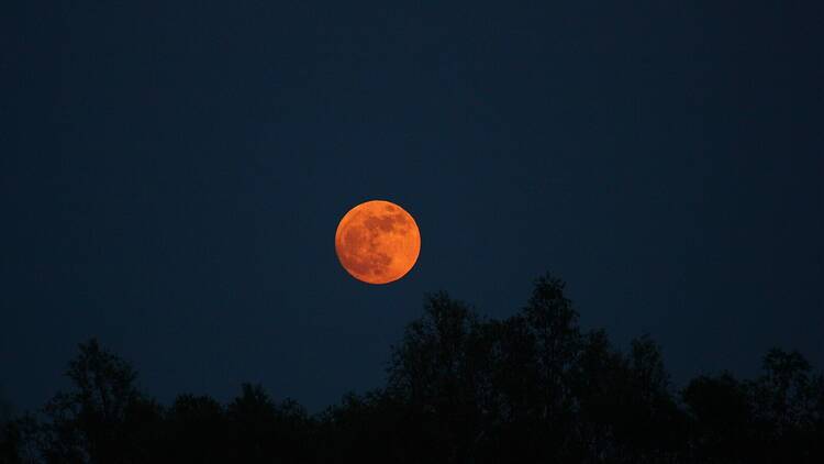 A pink moon in the dark night sky. 