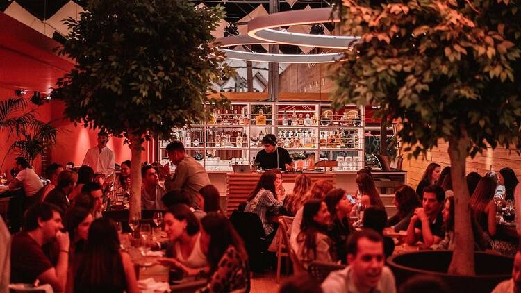 Tierra Brava: Market Gastronomy and Local Product