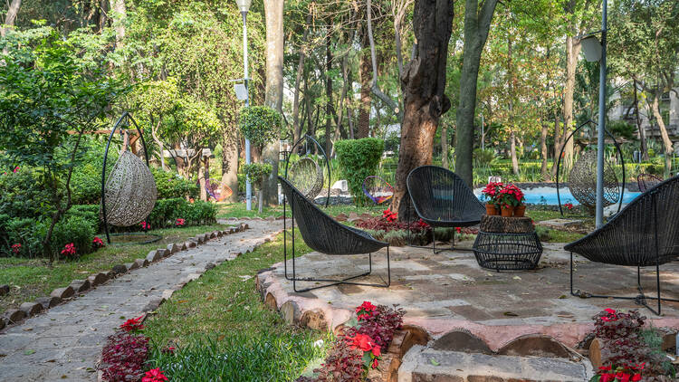 7 lugares para leer en la CDMX que debes conocer