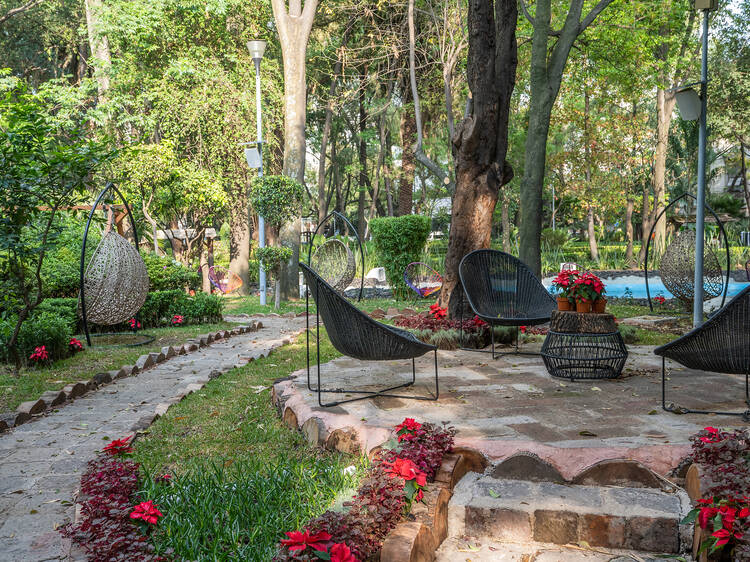 Lugares para leer en CDMX