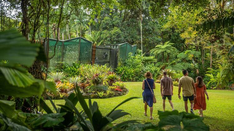Get back to nature at Cairns Botanic Gardens