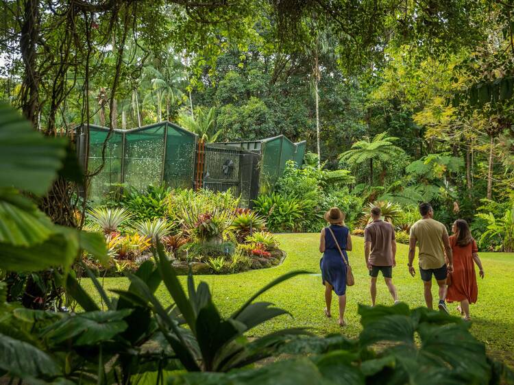Get back to nature at Cairns Botanic Gardens