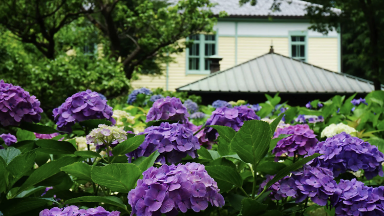 พิพิธภัณฑ์ป่าไม้ท้องถิ่นเมืองฟุจู (Fuchu City Local Forest Museum)