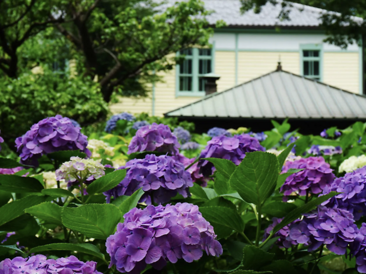 พิพิธภัณฑ์ป่าไม้ท้องถิ่นเมืองฟุจู (Fuchu City Local Forest Museum)
